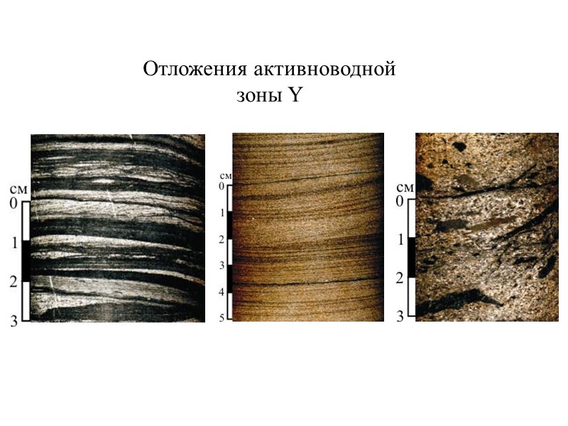 Отложения активноводной зоны Y